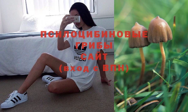 спайс Алзамай