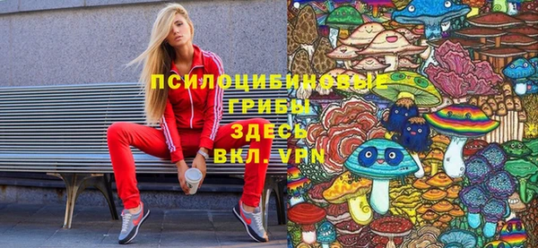 крисы Алексеевка