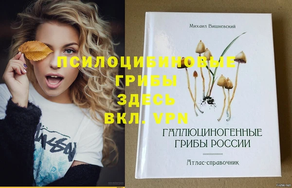 крисы Алексеевка