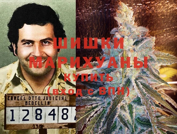 спайс Алзамай