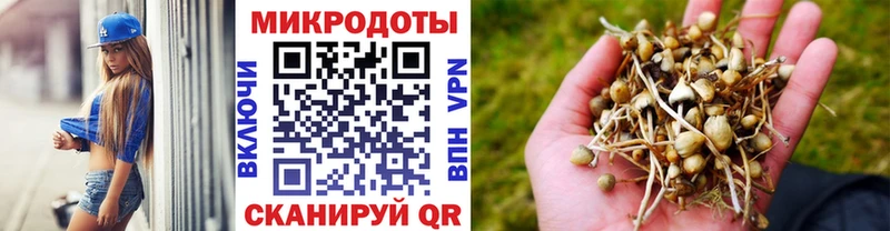 Галлюциногенные грибы GOLDEN TEACHER  Спасск 